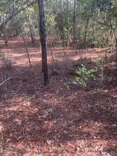 000 Stardust Lane, Melrose, FL 32666 - Image #3