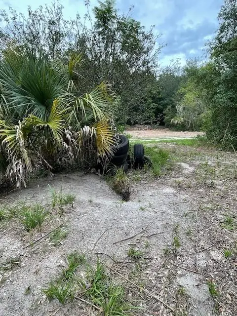 2904 Cleburne Road, Orlando, FL 32817 - Image #3