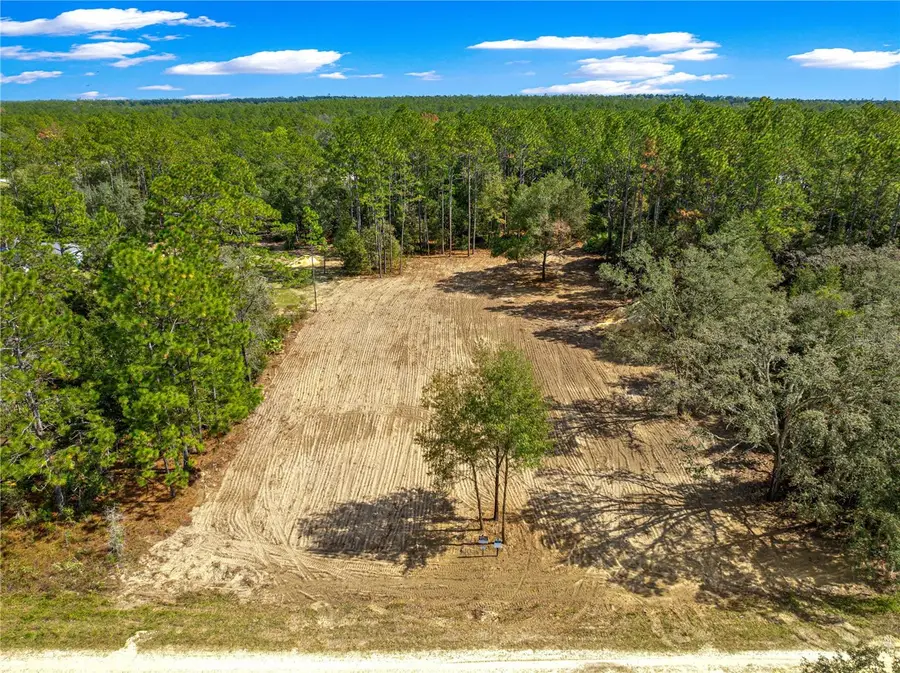 8435 SW 130 Terrace, Dunnellon, FL 34432 - Image #2