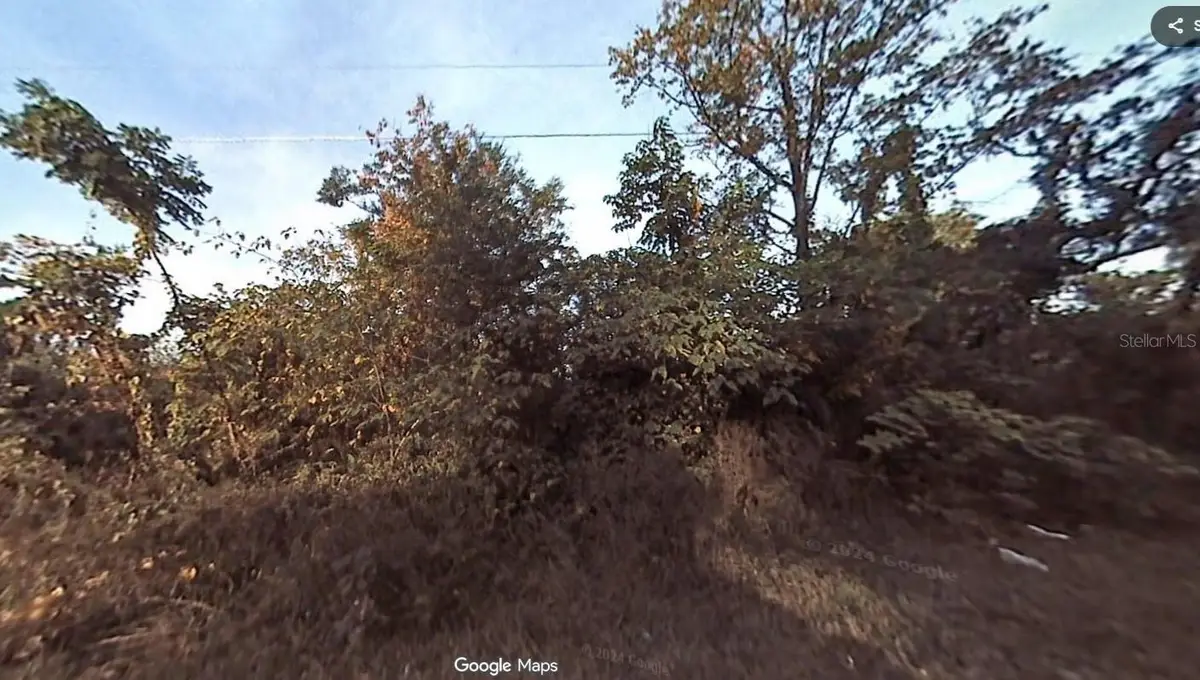 1302 S Delaware Avenue, Deland, FL 32720 - Image #1