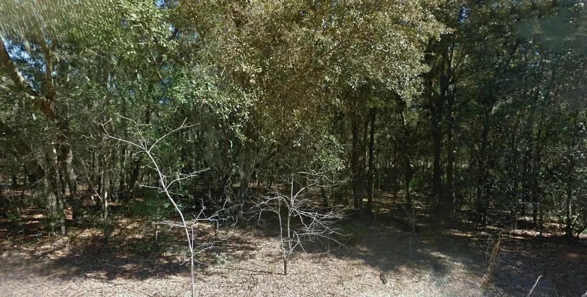 202 Cedar Trail, Interlachen, FL 32148 - Image #1