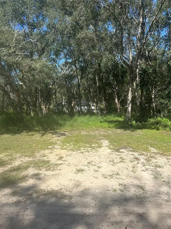 Calamondin Street, LADY LAKE, FL 32159