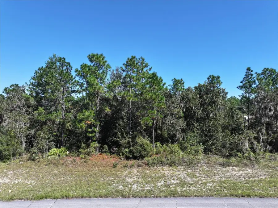 Sw 139th Place Road, Ocala, FL 34473 - Image #2