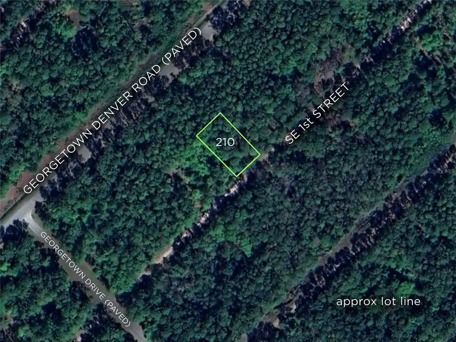 210 SE 1st Street, Georgetown, FL 32139 - Image #2