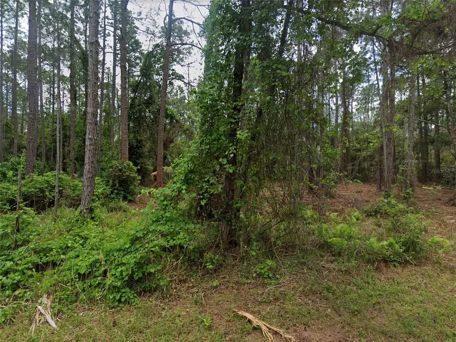 218 SE 1st Street, Georgetown, FL 32139 - Image #3