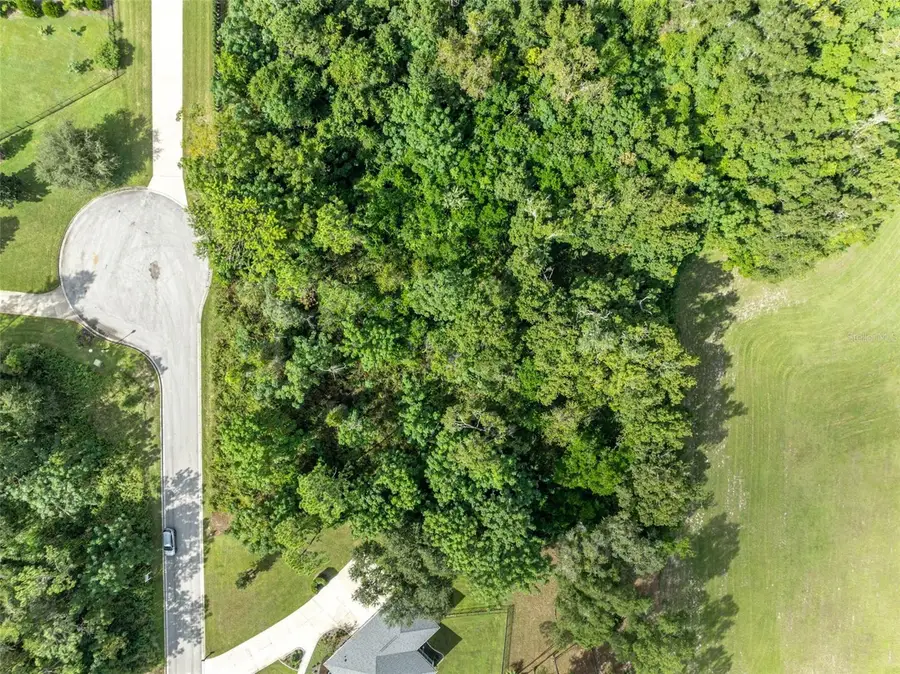 7082 Norne Lane, Mount Dora, FL 32757 - Image #3