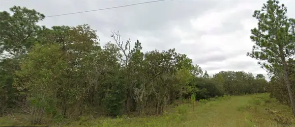 NE 151 Terrace, WILLISTON, FL 32696