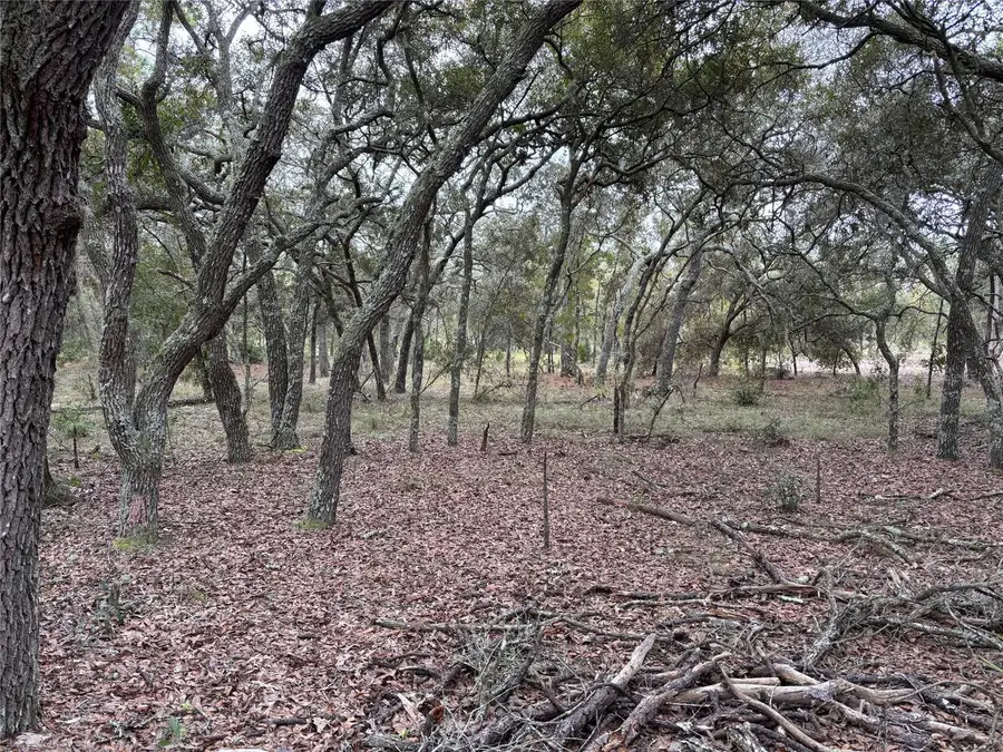 SE 63rd Lane, Morriston, FL 32668 - Image #2