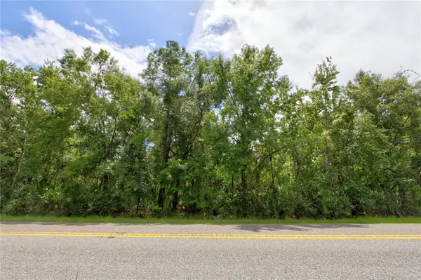 Starry Street #Lot 4, ORLANDO, FL 32833