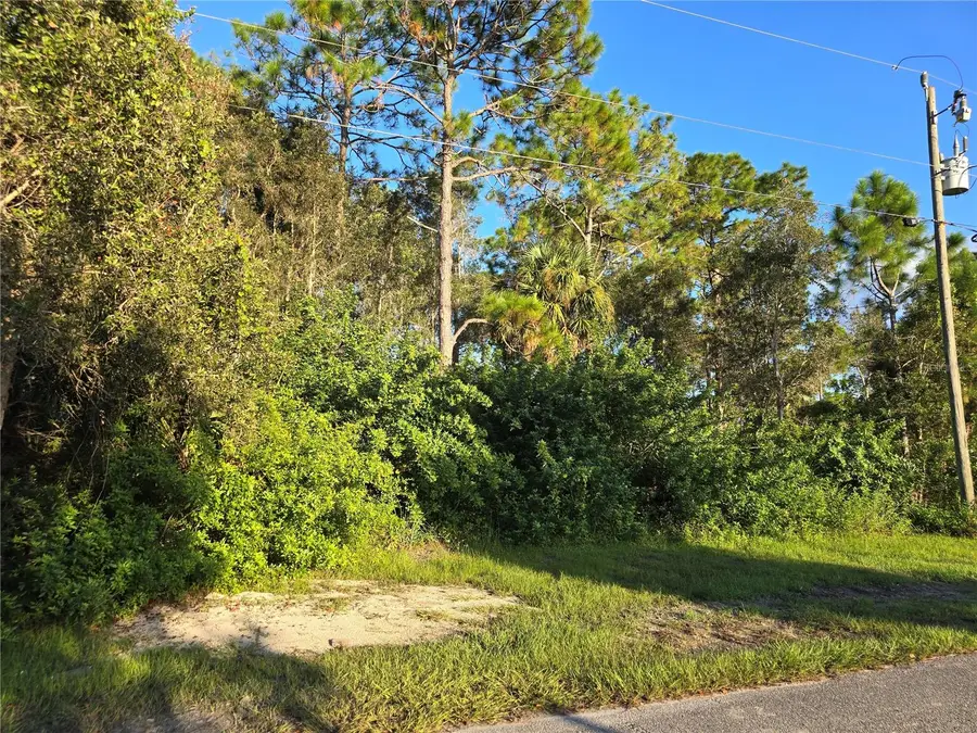 6012 Sara Avenue N, Lehigh Acres, FL 33971 - Image #3