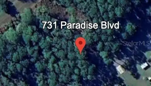 731 Paradise Boulevard, Georgetown, FL 32139 - Image #1
