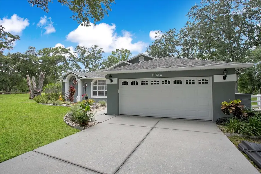 19616 Livingston Avenue, Lutz, FL 33559 - Image #3
