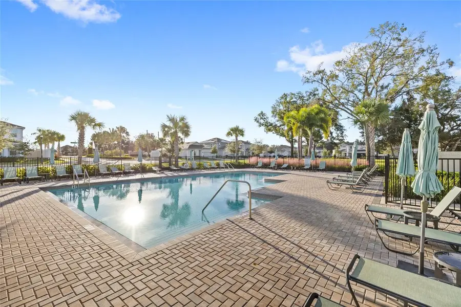 4079 Feather Tree Drive, Apopka, FL 32712 - Image #3