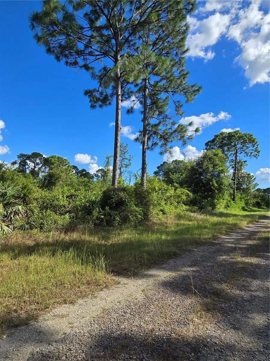 421 Wilder Avenue S, Lehigh Acres, FL 33974 - Image #3