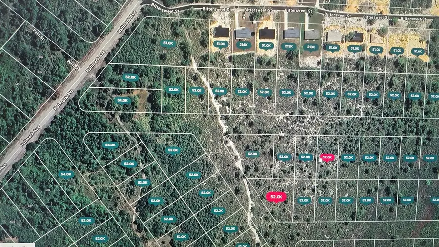 1400 Chickadee Street, Lake Placid, FL 33852 - Image #2