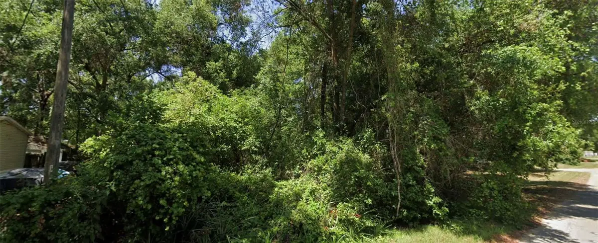 SE 144th Lane, Summerfield, FL 34491 - Image #1