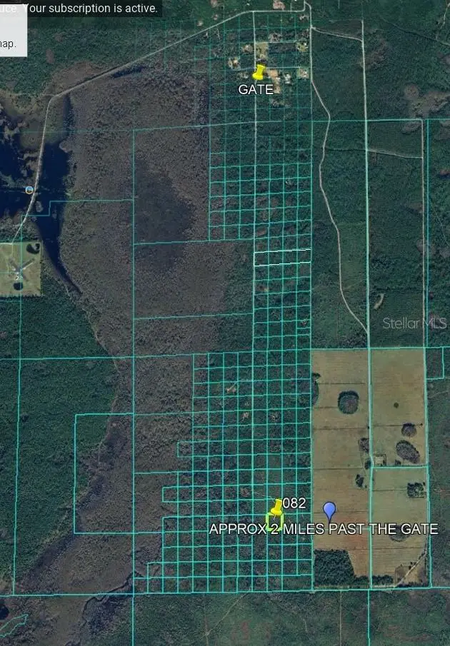Lake Harney Road, Osteen, FL 32764 - Image #2