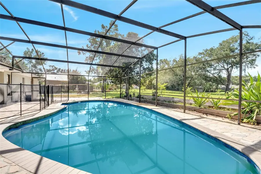 3328 Wax Berry Court, Windermere, FL 34786 - Image #3