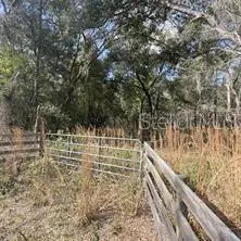 7377 Knoxville Drive, Webster, FL 33597 - Image #2