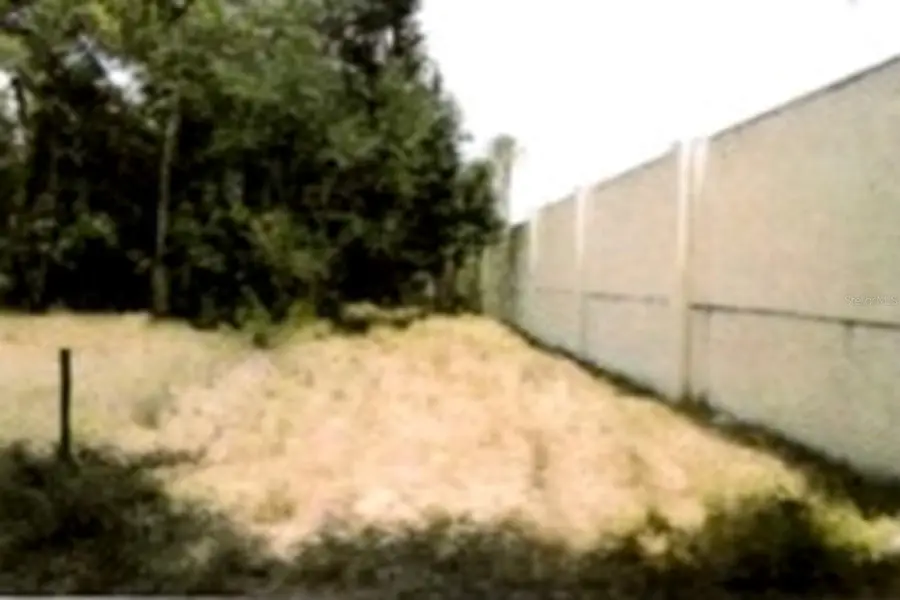 12325 & 12303 Stagg Road, Winter Garden, FL 34787 - Image #3