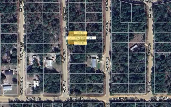 Janet Avenue, INTERLACHEN, FL 32148
