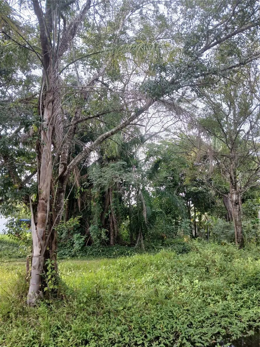 18565 N 16th Avenue E, Orlando, FL 32833 - Image #3