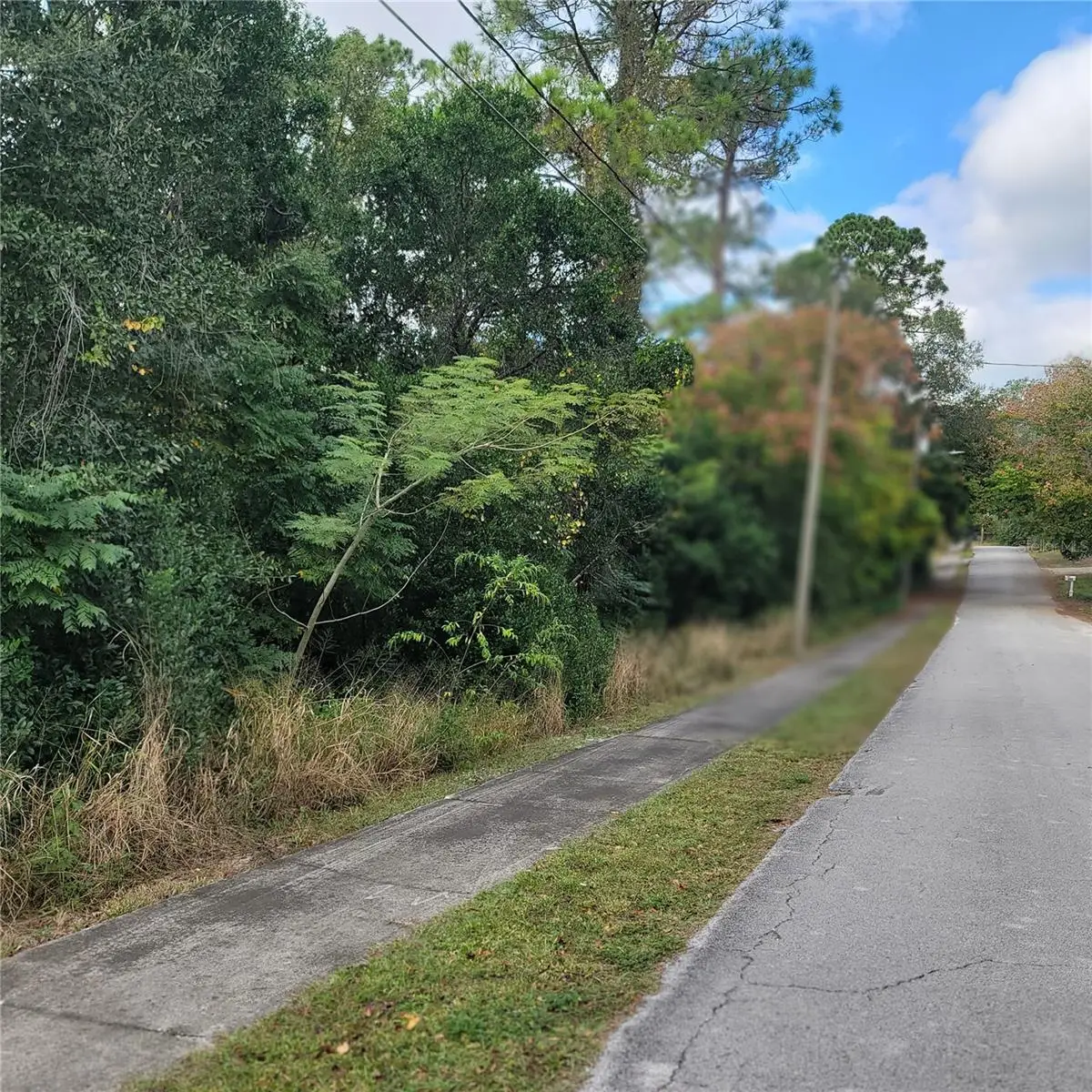 210 Buena Vista Street, Debary, FL 32713 - Image #1