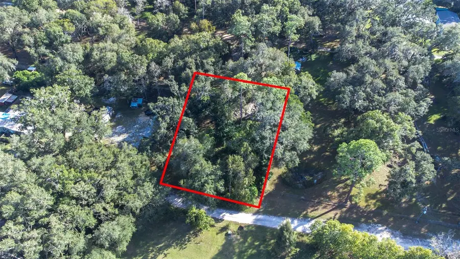 Se 120th Lane, Webster, FL 33597 - Image #3