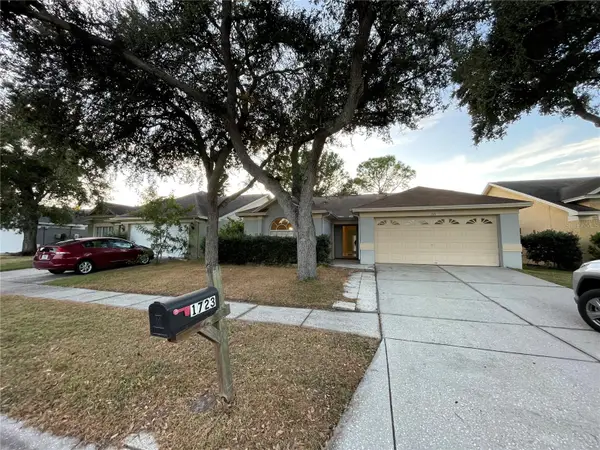 1723 Elk Spring Drive, BRANDON, FL 33511