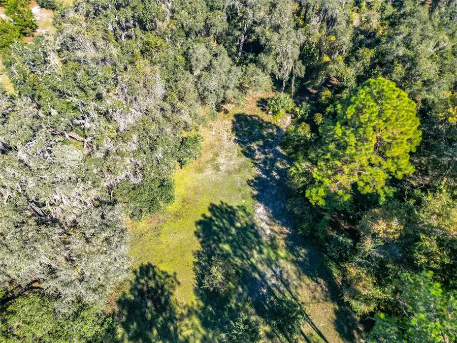 16990 NE 30th Court, Citra, FL 32113 - Image #3