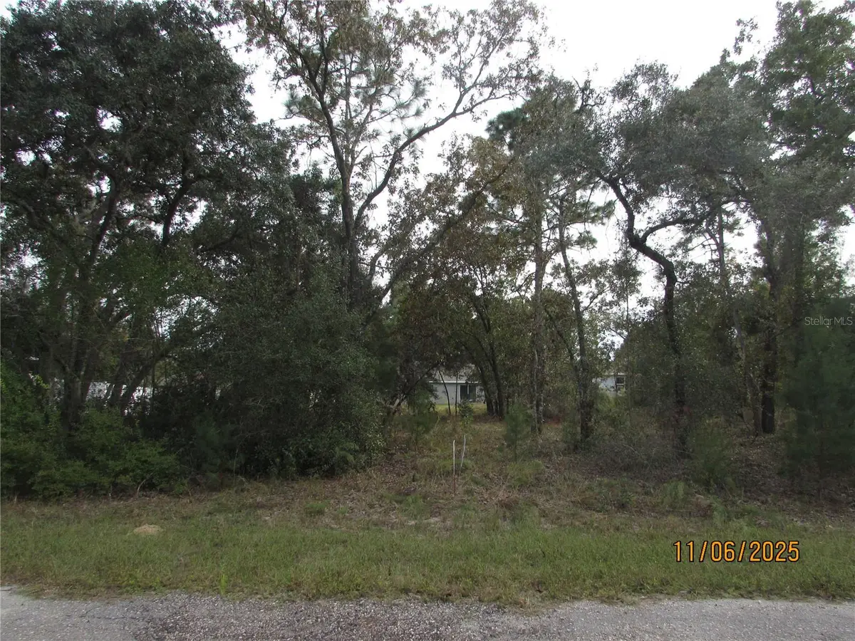 3108 W Randolph Lane, Citrus Springs, FL 34433 - Image #1