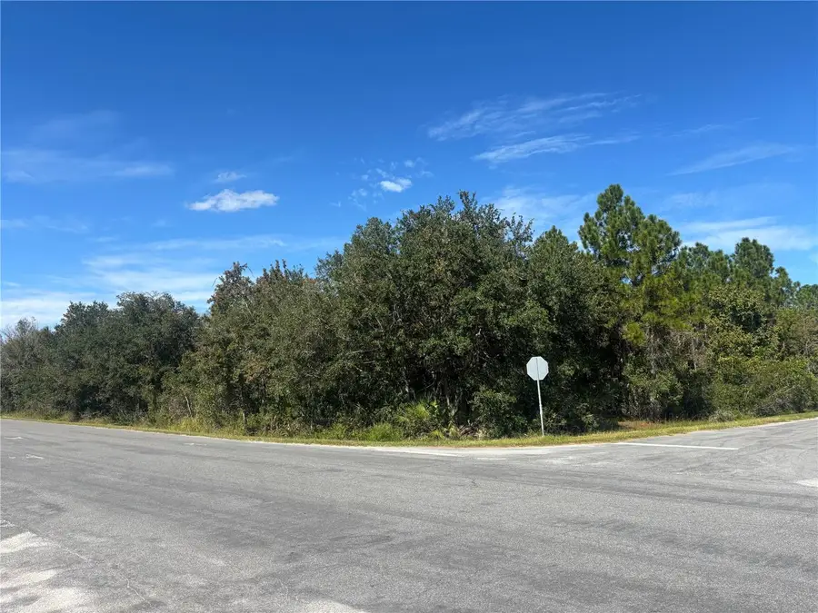 Coronet Avenue, Orlando, FL 32833 - Image #2