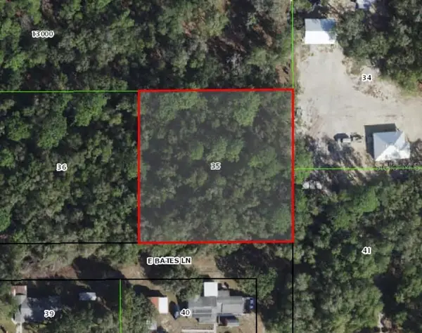 10641 E Bates Lane, INVERNESS, FL 34450