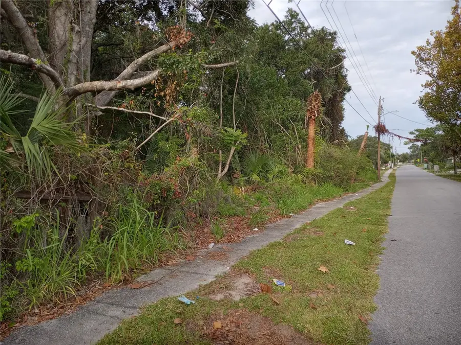Carver Street, Mims, FL 32754 - Image #2