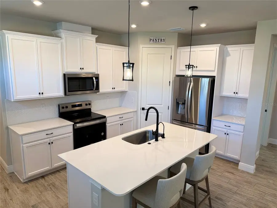 31969 Asbury Avenue, Wesley Chapel, FL 33545 - #3