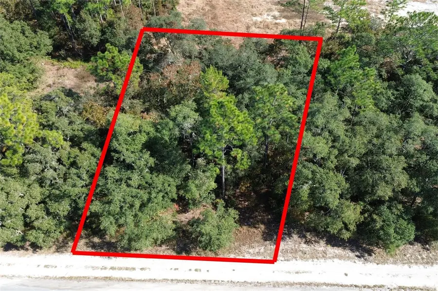 Lot 11 SW 72nd Terrace, Ocala, FL 34473 - Image #3