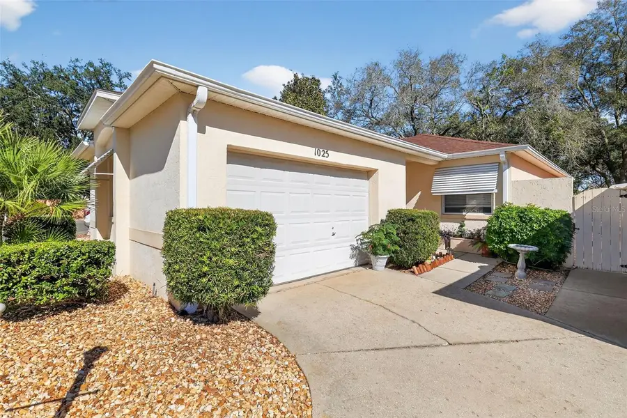 1025 Avalon Avenue, Lady Lake, FL 32159 - Image #2