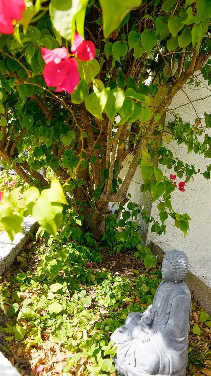 2363 68th Ave S, Saint Petersburg, FL 33712 - Image #3