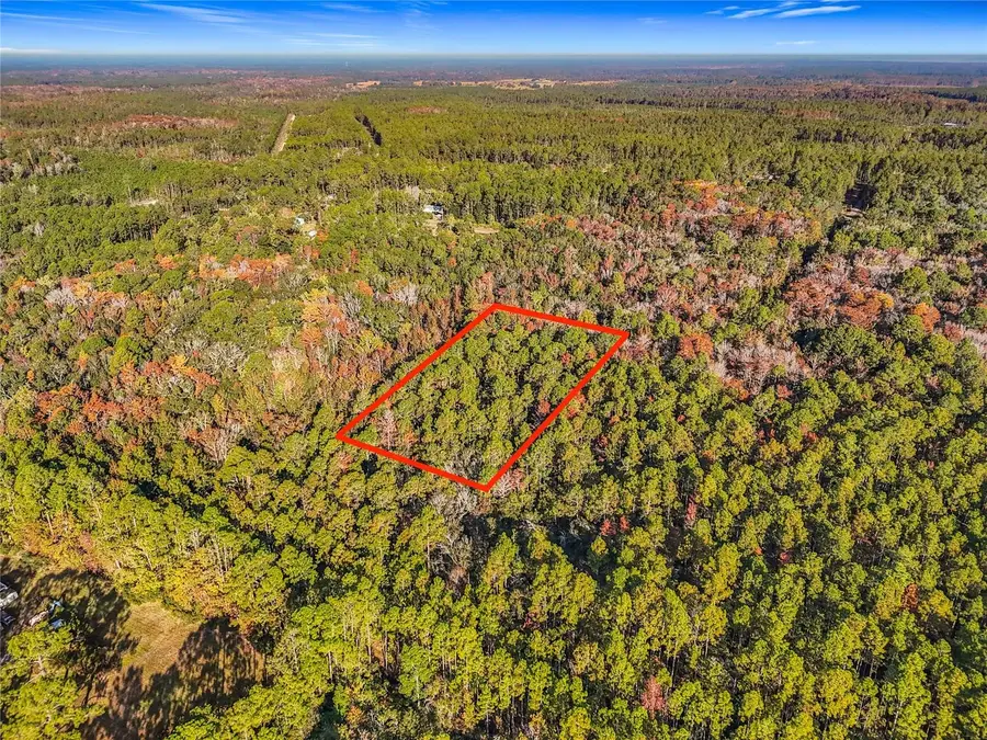 SW 6th Terrace, Palatka, FL 32177 - #2