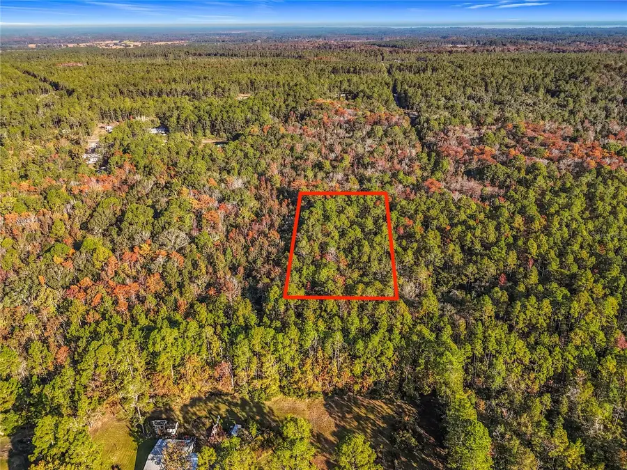 SW 6th Terrace, Palatka, FL 32177 - #3