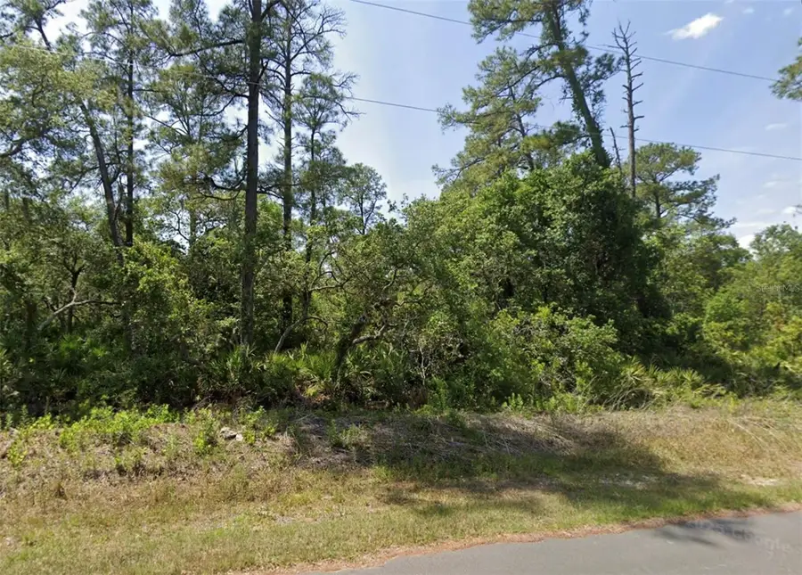 LOT 12 Locust Terrace Ps, Ocala, FL 34472 - Image #2
