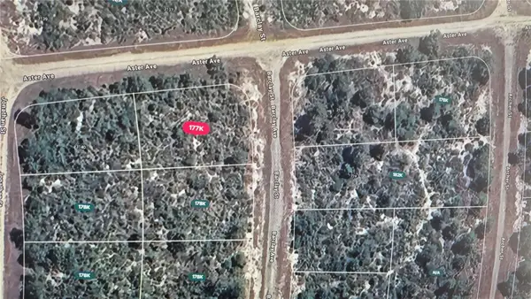 3138 Aster Avenue, LAKE PLACID, FL 33852