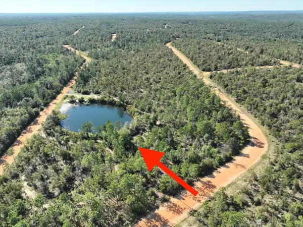 Richland Street, ALFORD, FL 32420