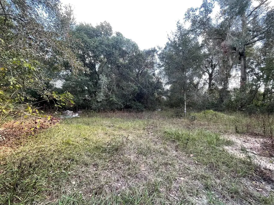 20180 SE 141st Street, Umatilla, FL 32784 - Image #2