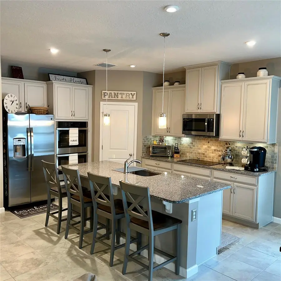 456 Winter Solstice Lane, Mount Dora, FL 32757 - Image #2