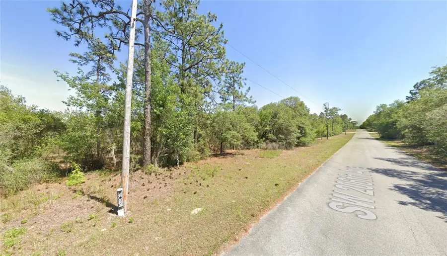 SW 206th Avenue, Dunnellon, FL 34431 - Image #2