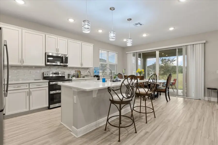 31707 Broadwater Avenue, Leesburg, FL 34748 - Image #2