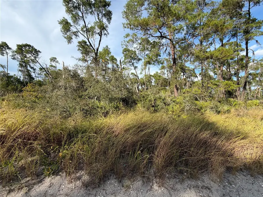 478 Darter Avenue, Sebring, FL 33870 - Image #2