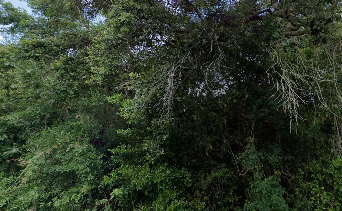 3288/3302 E Alisa Lane, Inverness, FL 34453 - #1