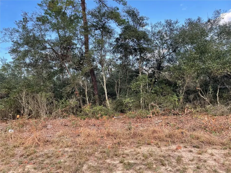 165 SW Street Road, Ocala, FL 34473 - Image #2